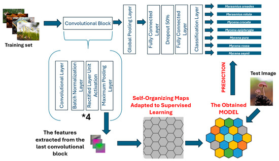 Sensors_MDPI's tweet image. Classification of Mycena and Marasmius Species Using Deep Learning Models: An Ecological and Taxonomic Approach
mdpi.com/1424-8220/25/6…
#macrofungi_classification #deep_learning