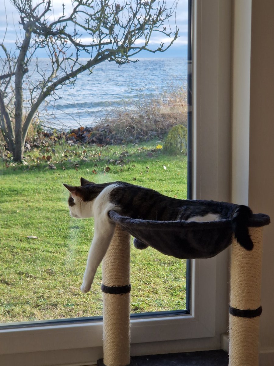 Tiny: Im Urlaub kann man auch einfach mal abhängen.