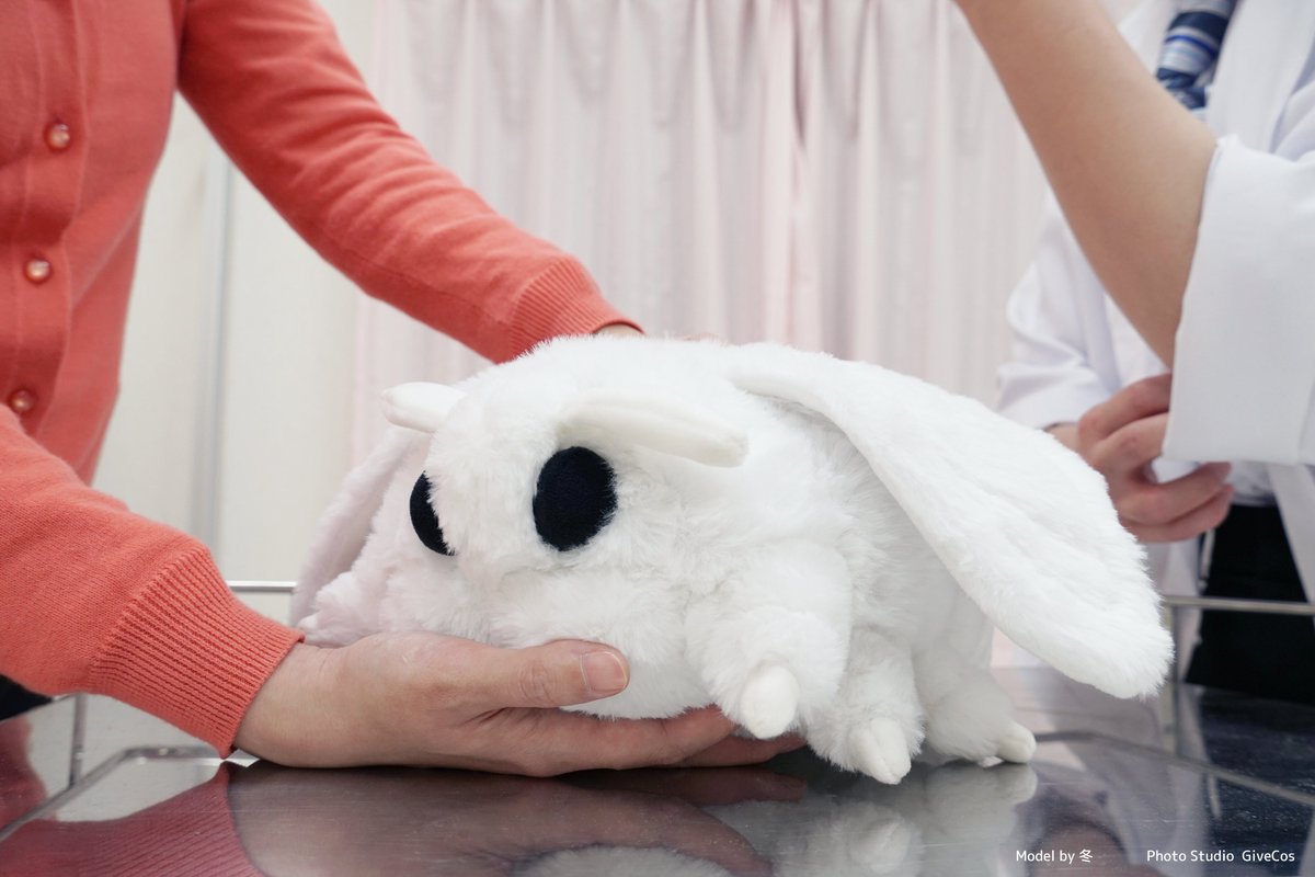 ootani_eiti's tweet image. 先生よろしくお願いします。