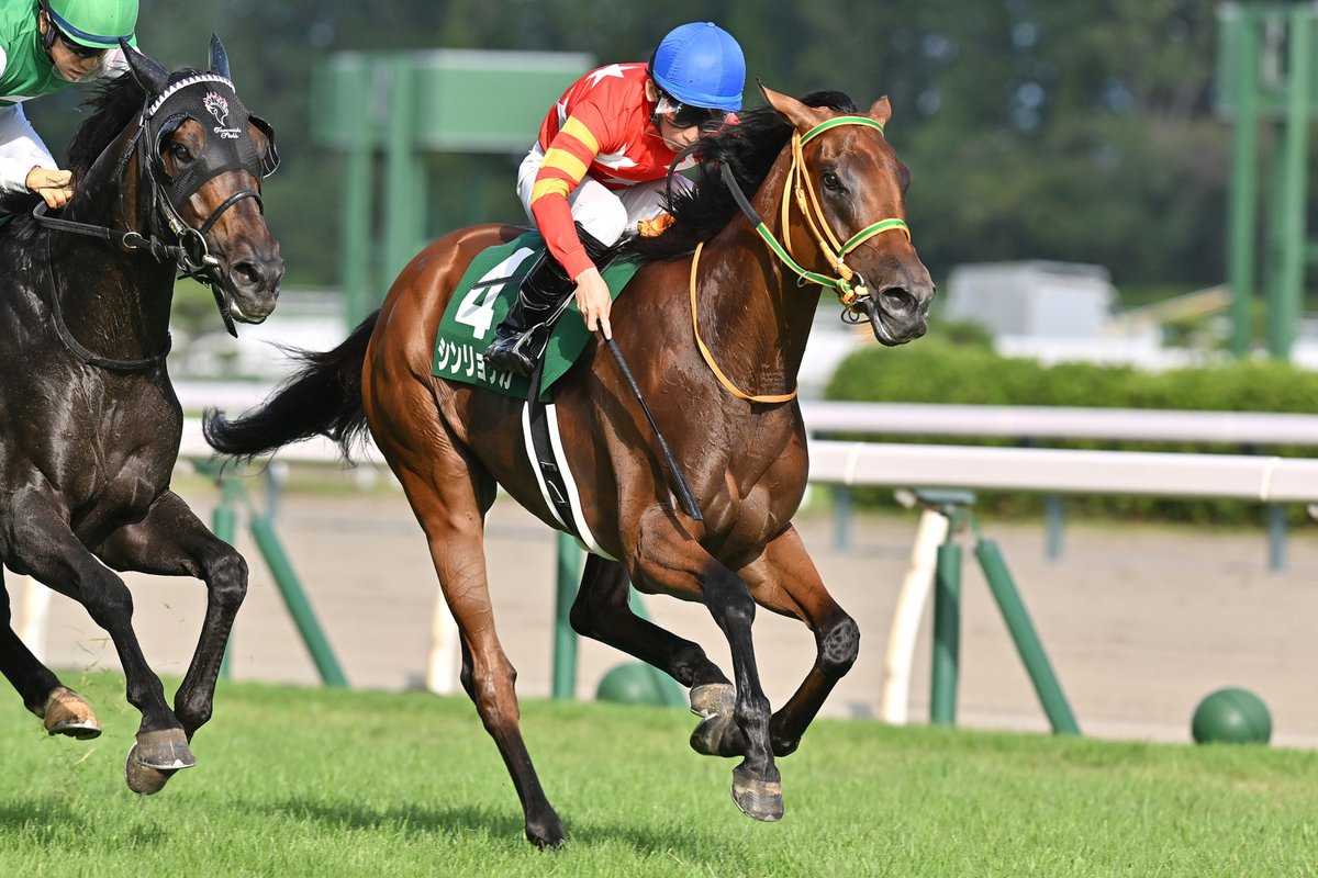 きじとら (@kijitora_ruufas) / Posts / X