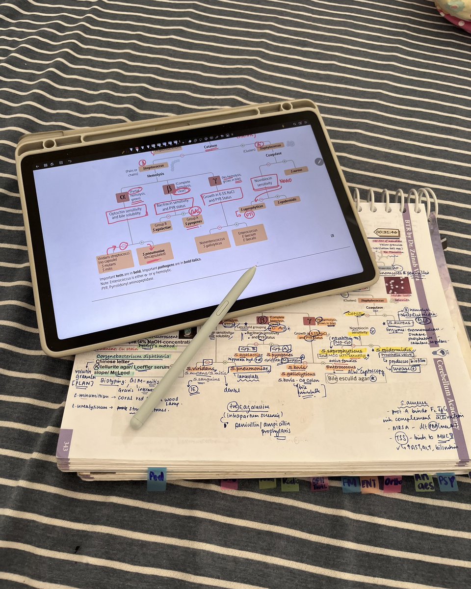 hershey_studies's tweet image. Study in bed kinda morning 🛌📚
#studytwt