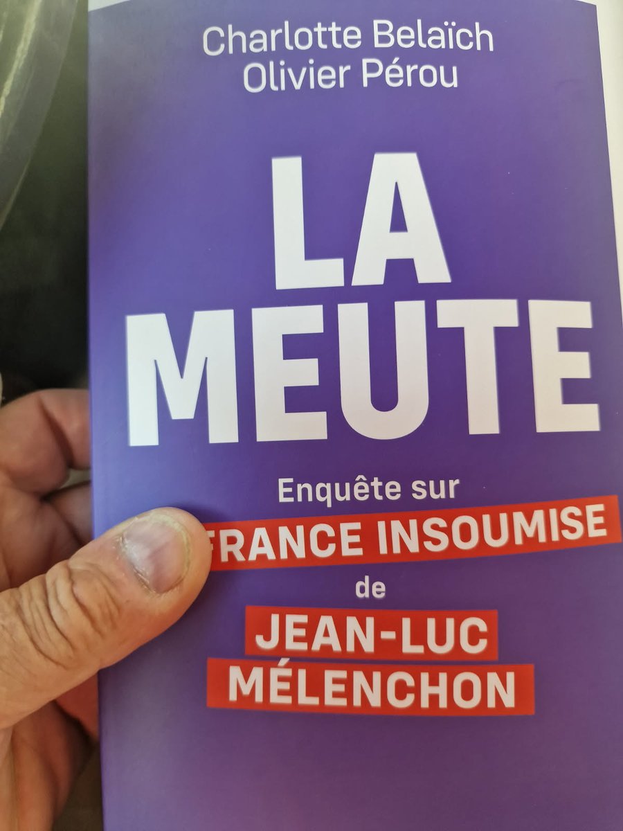 DeBaule's tweet image. #LaMeute 
#LaSecte 
#legourou
#lasoumise

Les complices du mal 
Plon
@omarsouleimane