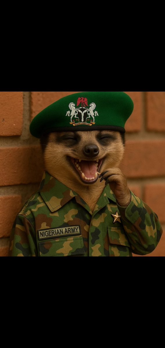 Stubborn things 🦇