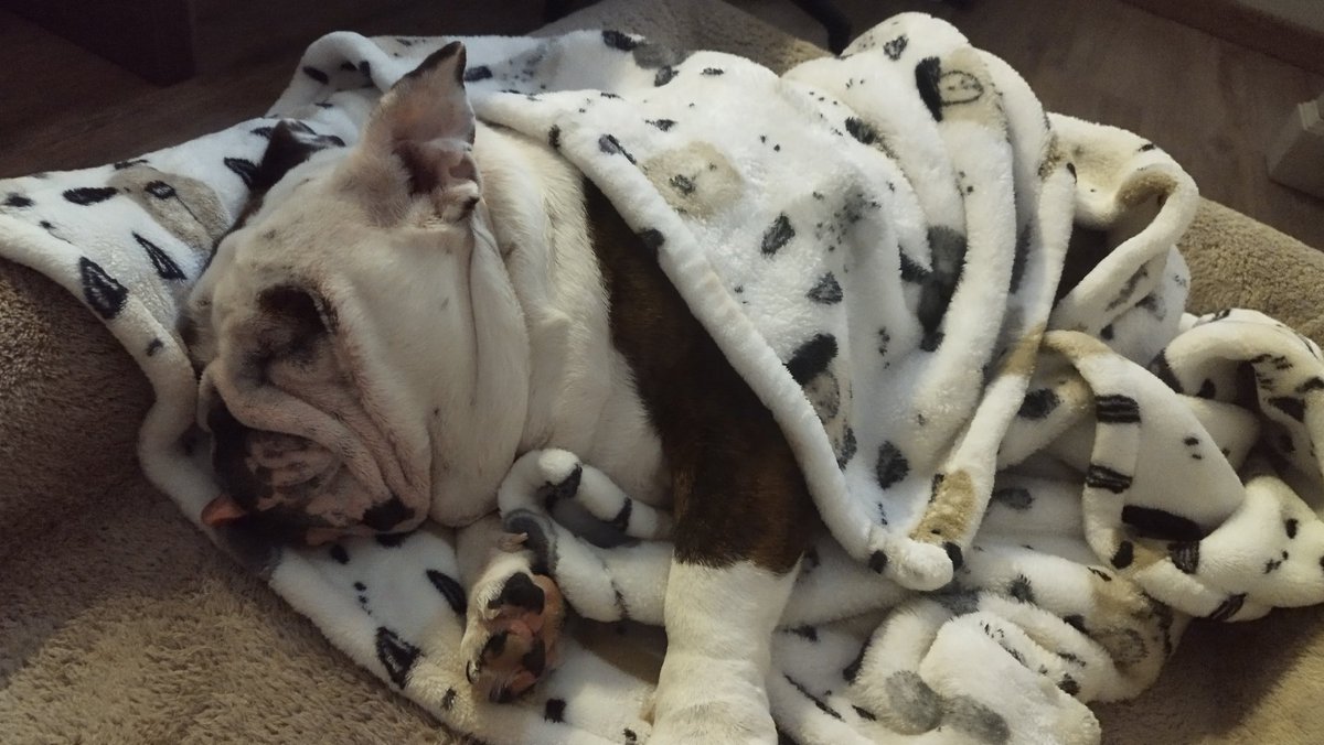 Little bro kept waking me up all night and morning, now he's sleeping so soundly