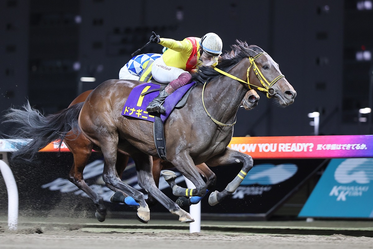 katsumaruclub's tweet photo. 川崎競馬倶楽部ブログを更新しました。

第36回ロジータ記念(SI)　東京２歳優駿牝馬トライアル　優勝はドナギニーhttps://t.co/fz1713atxC

川崎競馬からはチャチャハツゴウ、オリコウデレガンス、ハナノウタゲ、セレニアサミットの４頭が参戦しました。

#地方競馬 #川崎競馬 https://t.co/7AK6MLIevI