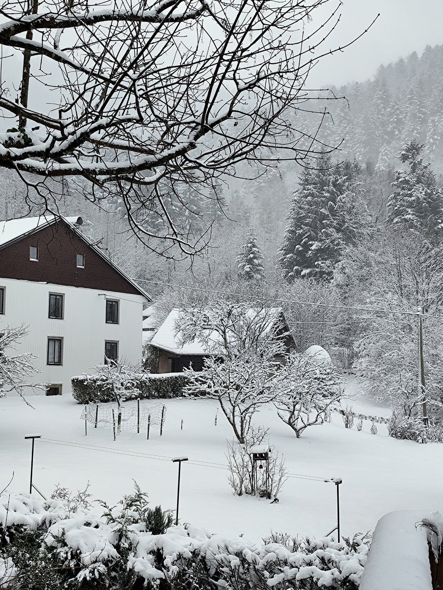 EdithPY2's tweet image. Tadaaa ! 15 cm