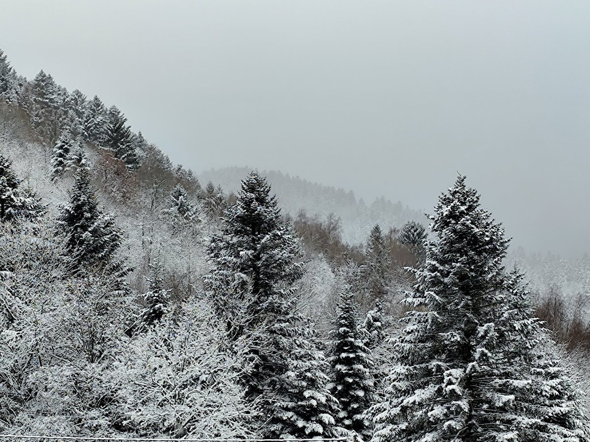 EdithPY2's tweet image. Tadaaa ! 15 cm