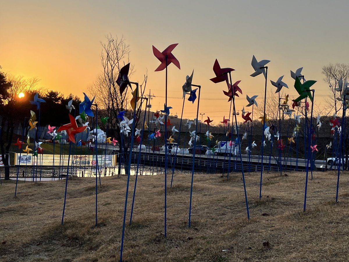 LKZzeldano1's tweet image. My pictures taken with the cool breeze!✨

(涼しい風と一緒に撮った写真!✨)