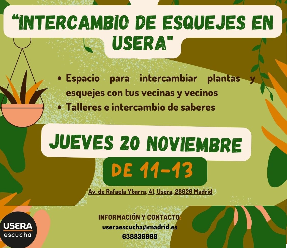 jmd_usera's tweet image. 🪴¿Tienes plantas en casa o te gustaría tenerlas?
📍Intercambio de #esquejes y #jardineríasostenible 
Explanada @jmd_usera en Avda de Rafaela Ybarra, 41
Jueves 20 de noviembre
De 11:00 a 13:00 h
Actividad gratuita
#UseraEscucha

👉informate.madrid.es/6qbuu