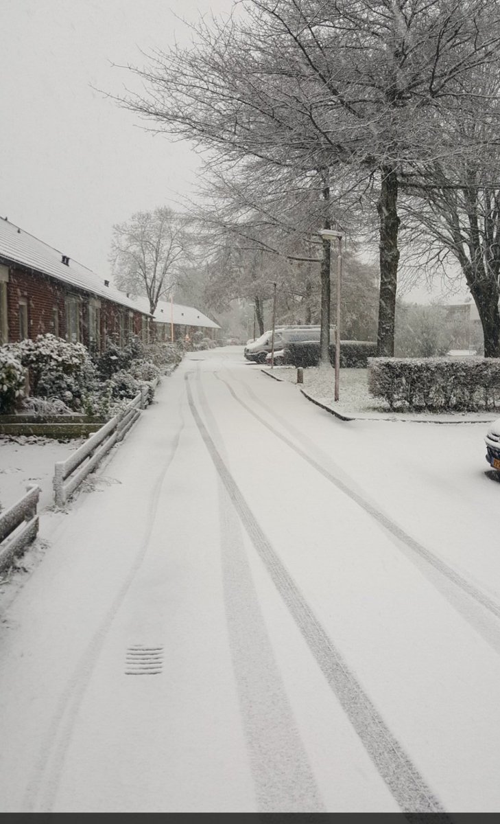 birgit2021's tweet image. 