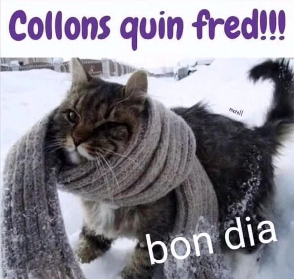 pipa (@pipa417) on Twitter photo 