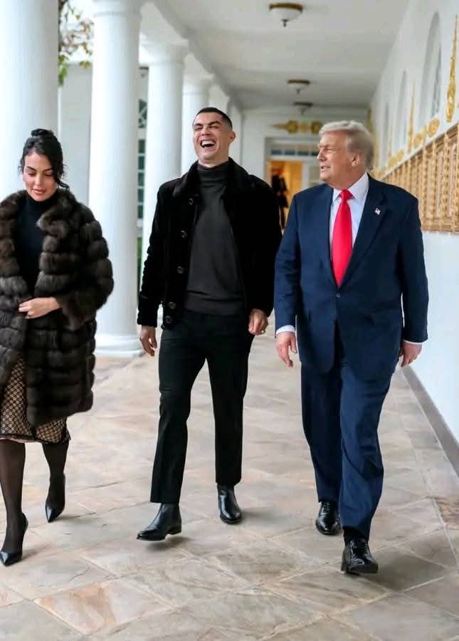 Your Tailor🧵🪡 tweet media