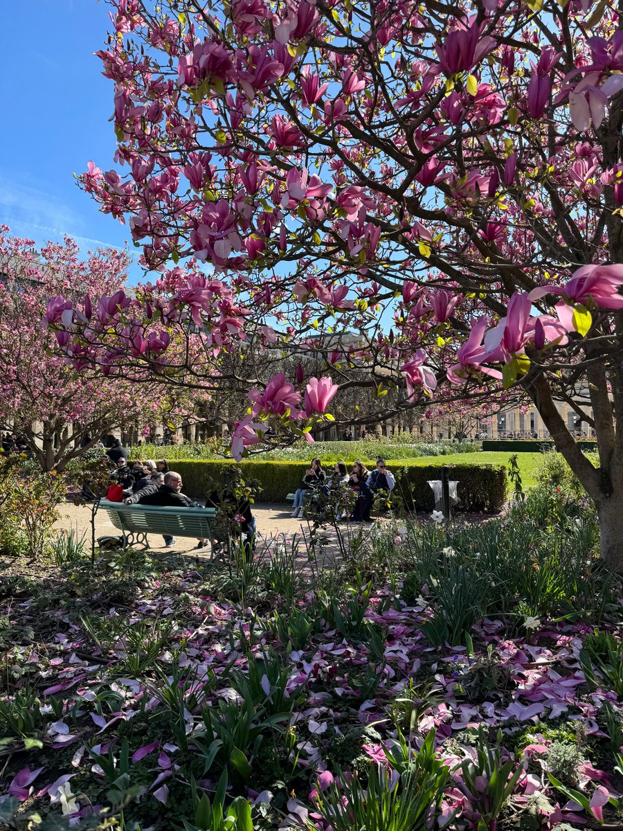 catfan57200's tweet image. Là où il n&apos;y a pas d&apos;espoir, nous devons l&apos;inventer - 
Albert Camus