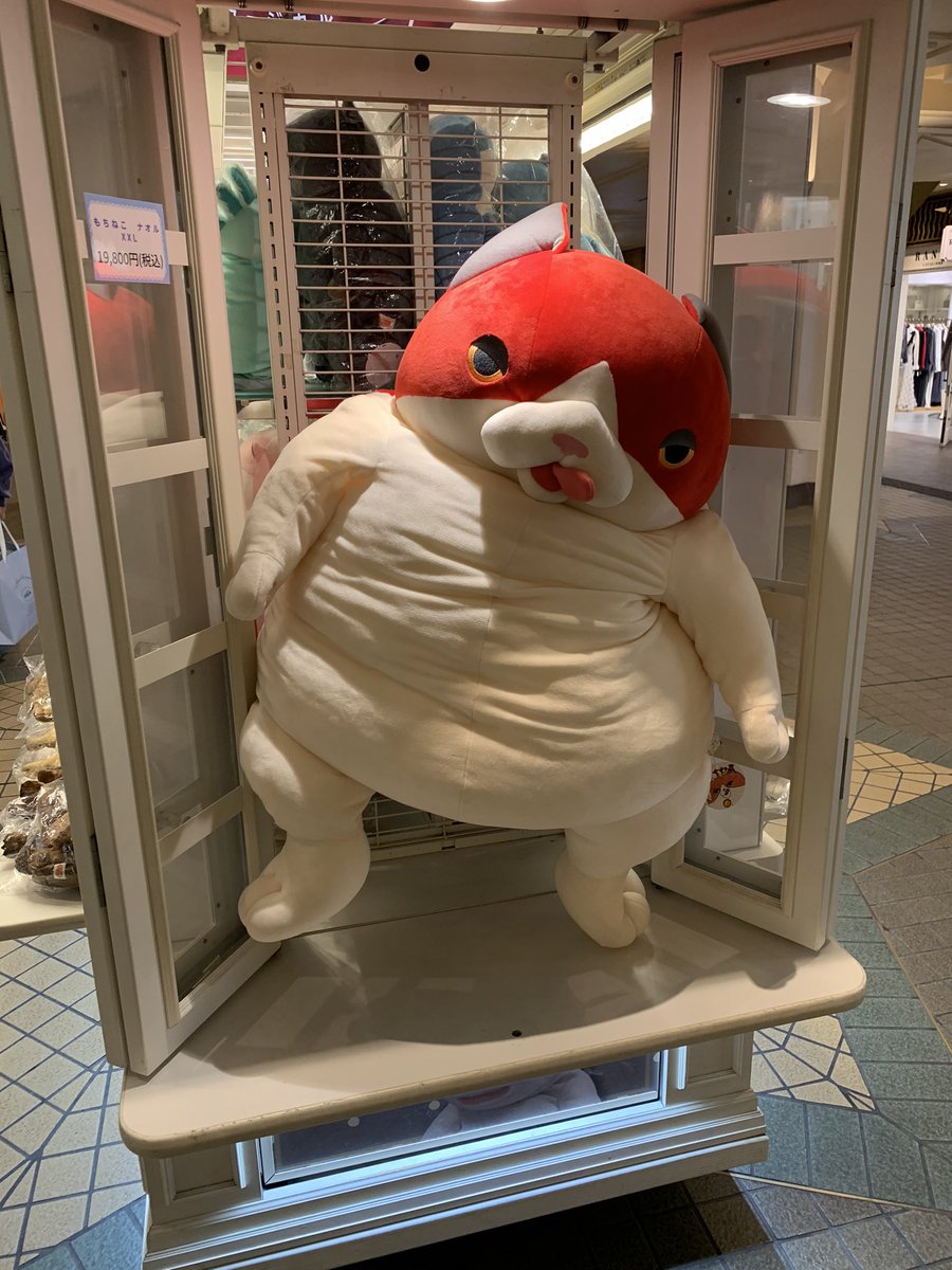 しらすさん/マジシャンTERU (@shirasu0331) / Posts / X