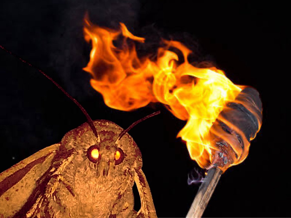 Spent the heat of the bull market watching paint dry. Sometimes you gotta come to grips with bad decisions and pivot. Can always pivot in any direction, but just gotta try to stay in the heat. 
I’m over the cold!!

I crave the warmth of the Læmp ⚡️⚡️⚡️⚡️⚡️⚡️⚡️⚡️⚡️⚡️⚡️