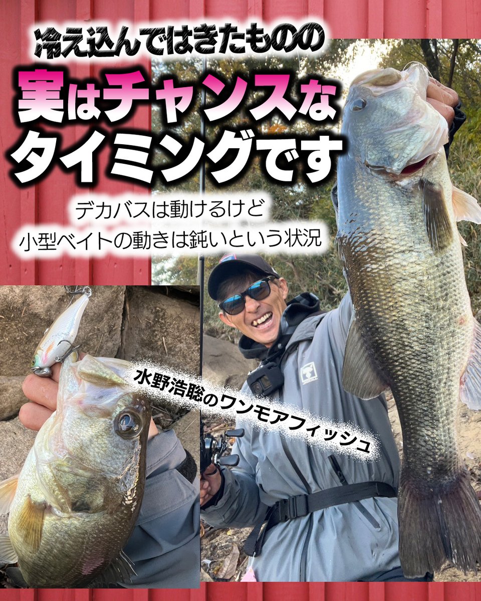 lurenewstv's tweet photo. 【寒くなってきたけど実はデカバス狙いにはいいタイミング】デカバスは動けるけど小型ベイトの動きは鈍いという状況！【水野浩聡のワンモアフィッシュ】
https://t.co/RiQTBj7GS8
@JACKALL_Inc  @Hiroaki__Mizuno 
#水野浩聡 #jackalllures #バス釣り #水野浩聡のワンモアフィッシュ #TN60トリゴン #白竜湖 #シボフラット #フットボールヘッド