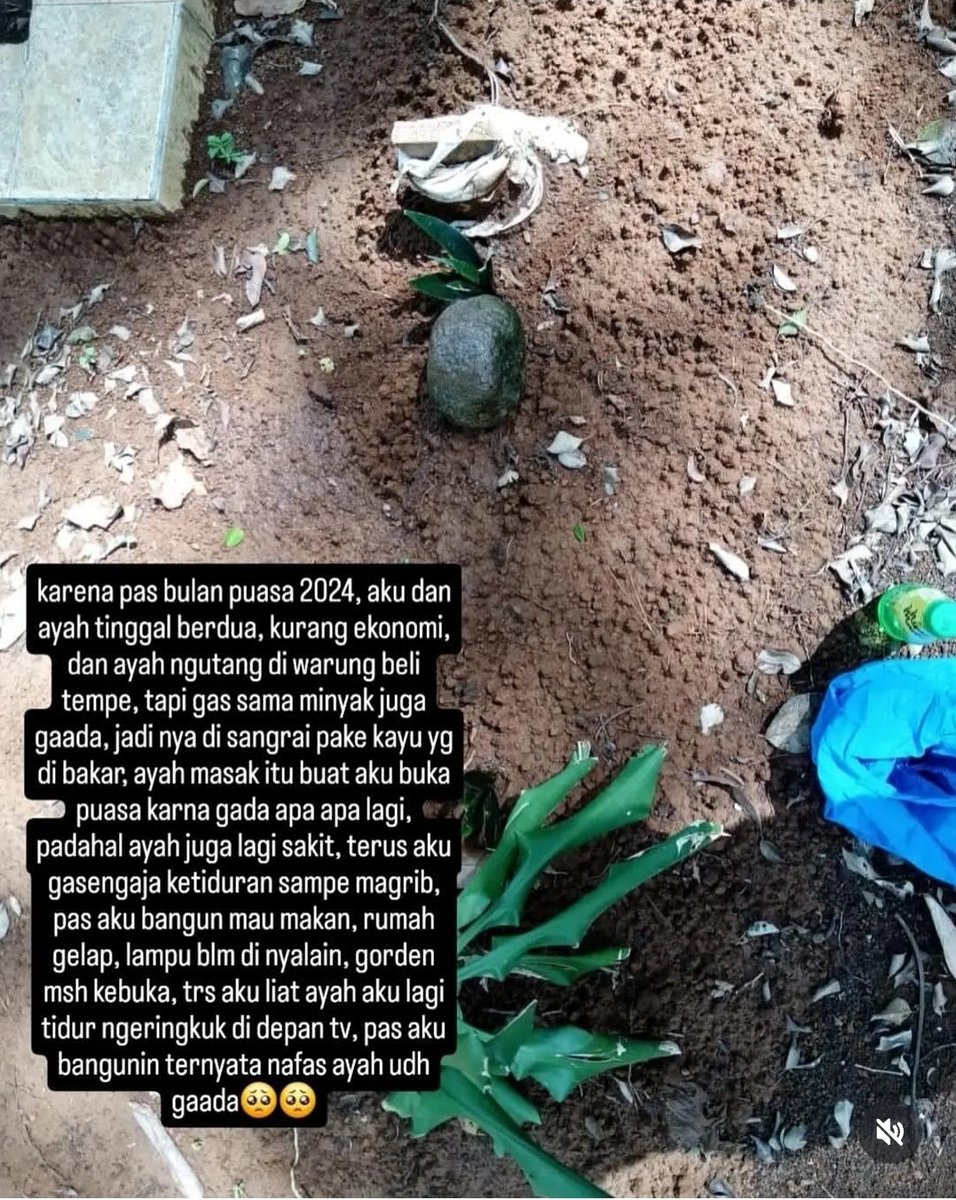 Riezmaaptr tweet media