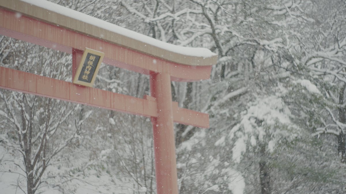 Alex Baena tweet media