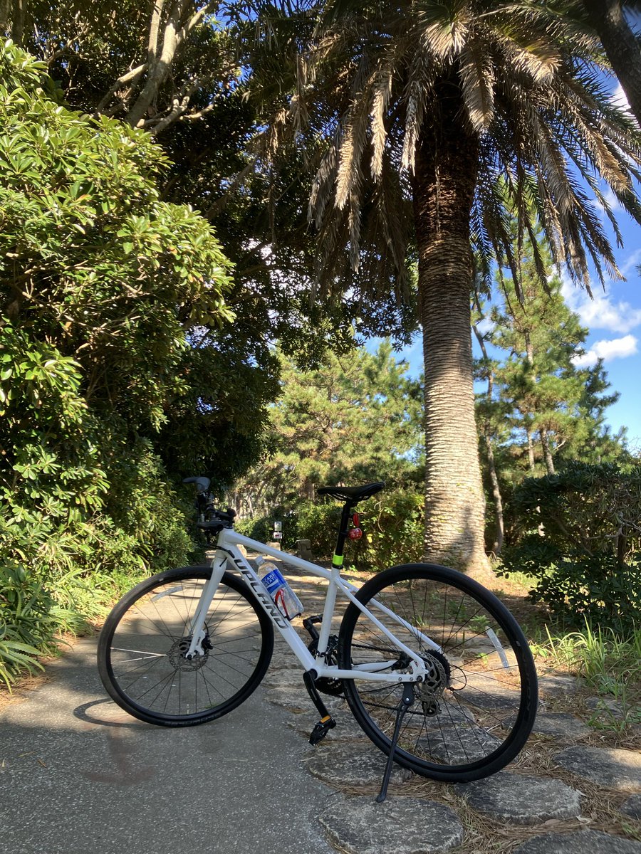 manbobongo's tweet image. 南房総一周の旅
君津　鴨川　千倉　館山
岩井　金谷　富津