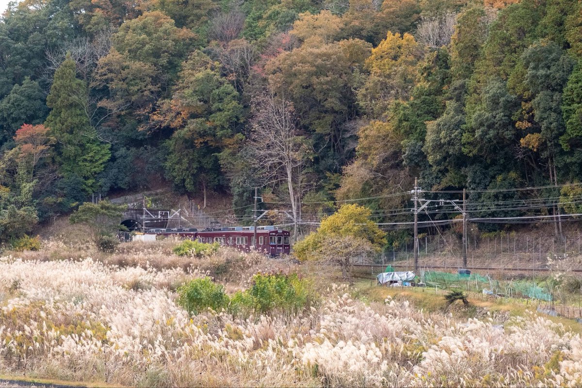 えりりん (@elirine) / Posts / X