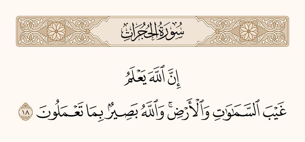 قطايط (@yomna_mohamed_0) on Twitter photo 