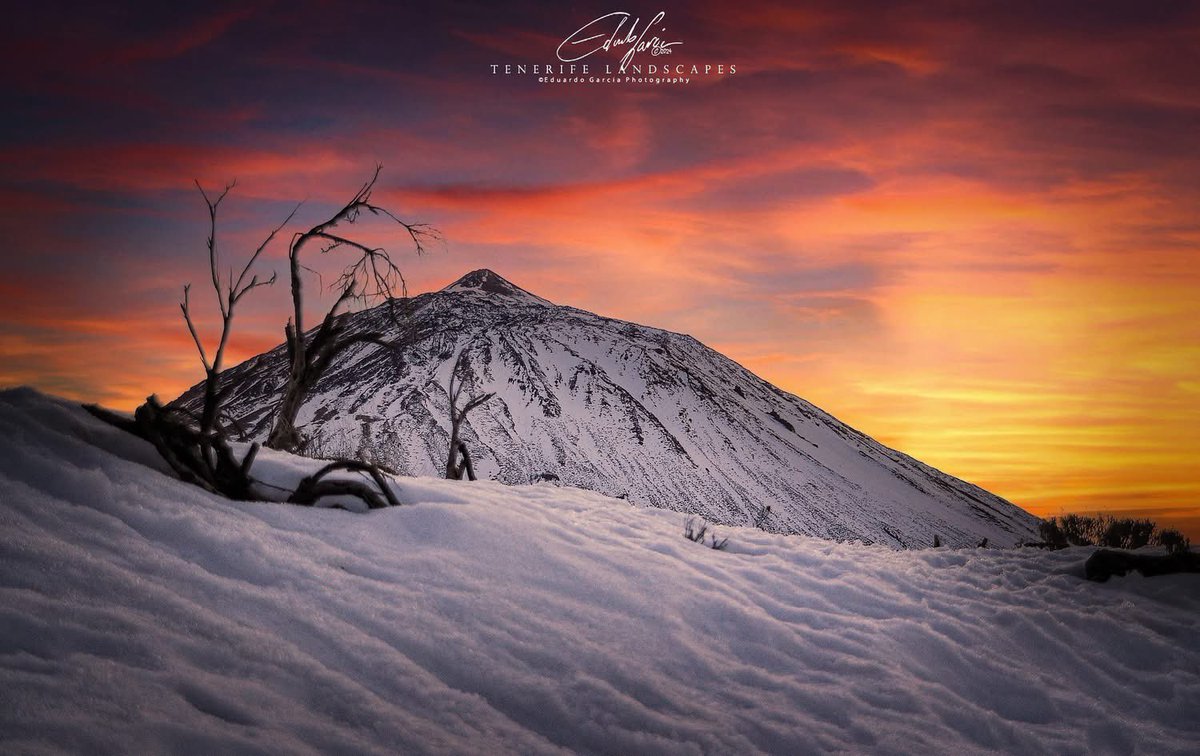 VOLCANO CAMP INTERNATIONAL tweet media