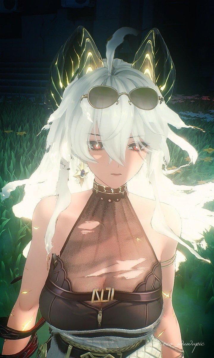 スキンがいい。
-ザンニー/Zani(No.25)

 #鳴潮写真部 #鳴潮 #WutheringWave