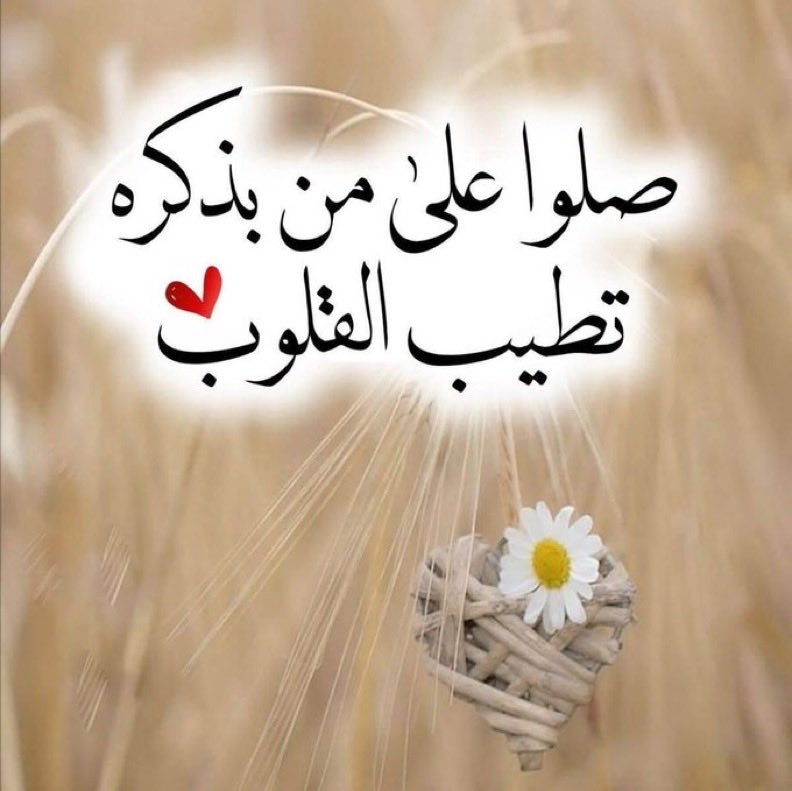 #قه_زي
الجهات الامنيه 
#ادعم_البطل_احمد_عبدالقادر