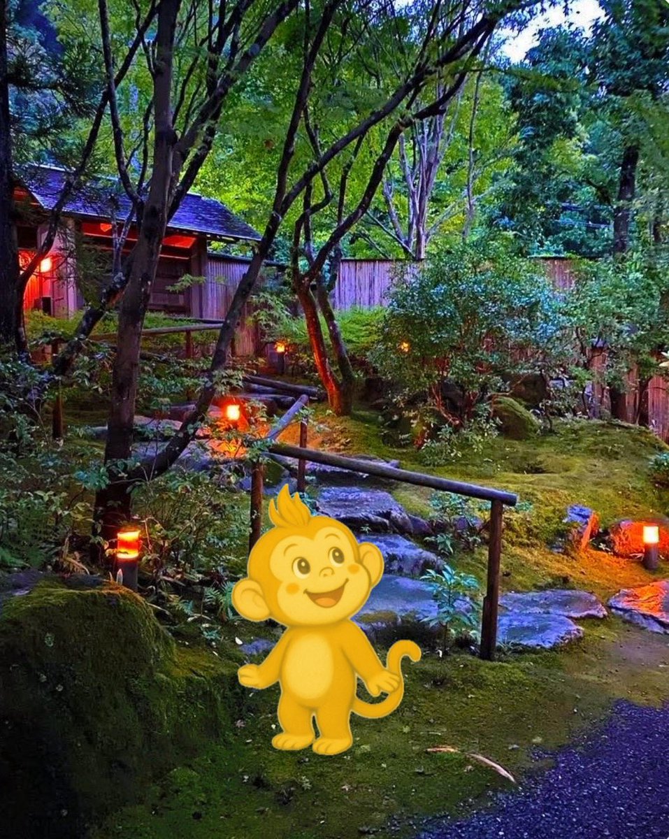 dV693wLRNPJD5wM's tweet photo. #Sagano’s autumn colors are stunning,
and the #TorokkoTrain is amazing too. 🍁🚂

But honestly…
your trip isn’t complete without #TheStone —
that’s where the real magic happens. ✨

Come feel it yourself,
where wishes begin to move.

👉 https://t.co/PhaSyIsob4 https://t.co/Sj3FpQXwW5
