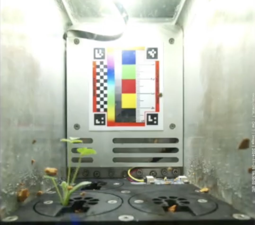 Raspberry_Pi's tweet image. We had a blast seeing everyone’s kooky creations at Open Sauce this summer, and one of the interesting people we met was Ted Tagami, who told us about a dare he couldn’t turn down over a decade ago…

raspberrypi.com/news/how-thous…