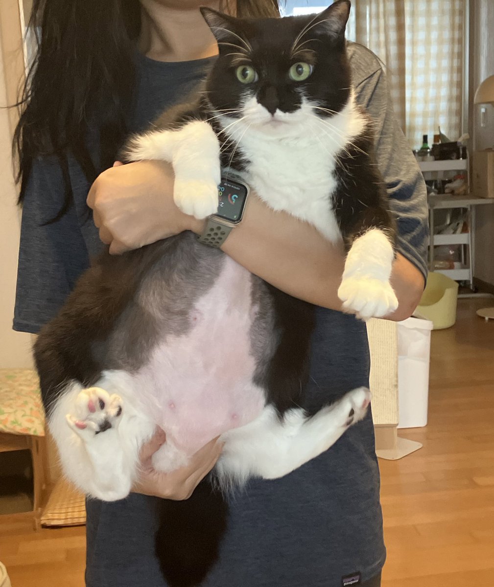 우리애기 예쁘죠? 그대로 컸죠?