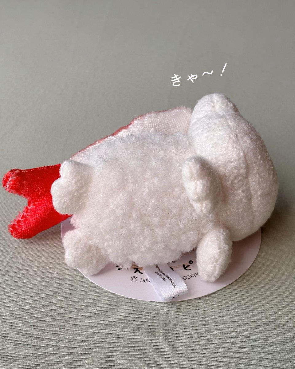 🍣 #かえるのピクルス #picklesthefrog