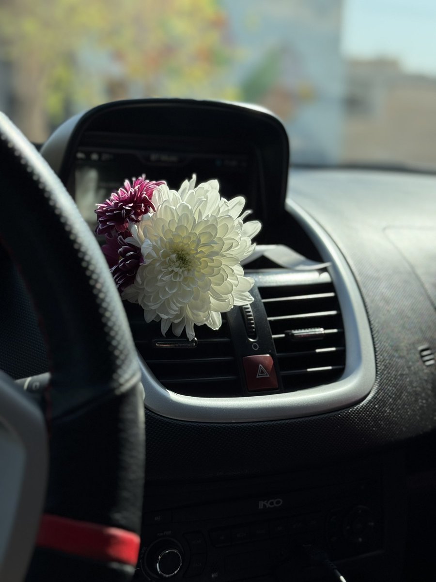 روز مرد و همچراغ گل فروش😂💔
دیگه داشتم ناراحت میشدم