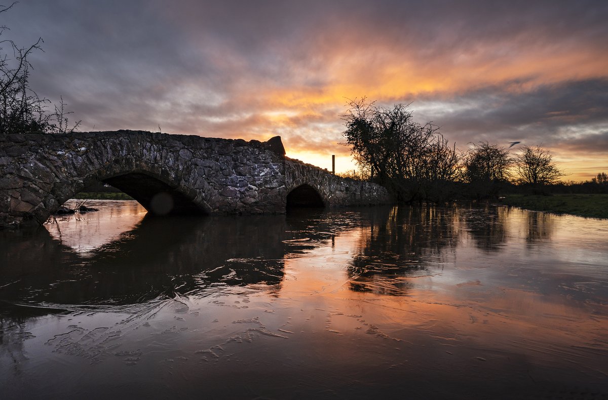 Mike Spencer tweet media