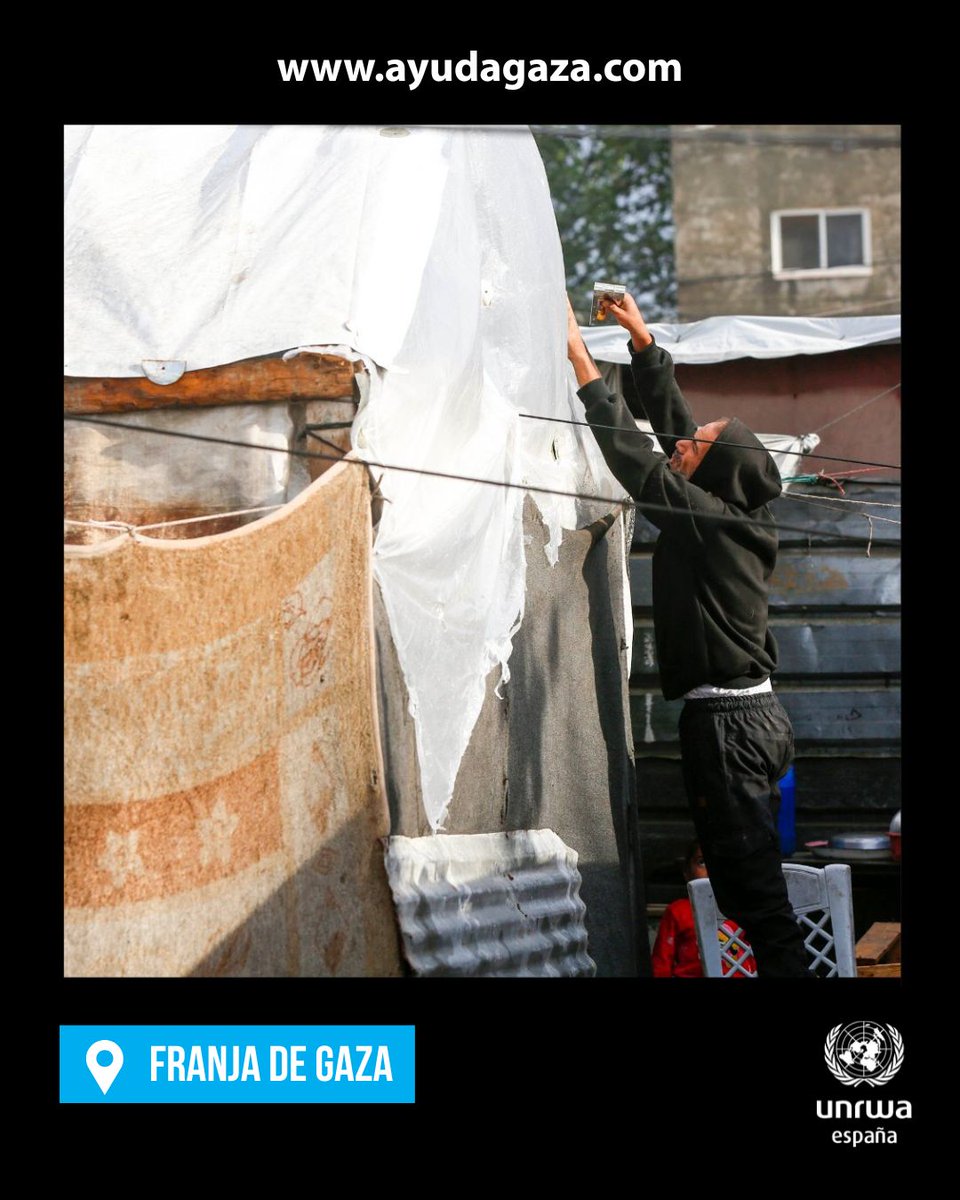 UNRWAes's tweet image. El invierno ha llegado a #Gaza. Las personas desplazadas están expuestas en medio de la destrucción mientras que la lluvia inunda los pocos refugios que tienen. Más de 12.000 profesionales de UNRWA les prestan atención médica, educación, agua y otros servicios básicos.