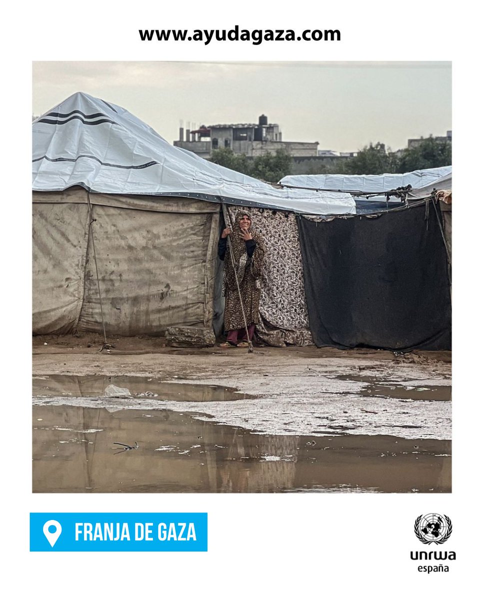 UNRWAes's tweet image. El invierno ha llegado a #Gaza. Las personas desplazadas están expuestas en medio de la destrucción mientras que la lluvia inunda los pocos refugios que tienen. Más de 12.000 profesionales de UNRWA les prestan atención médica, educación, agua y otros servicios básicos.