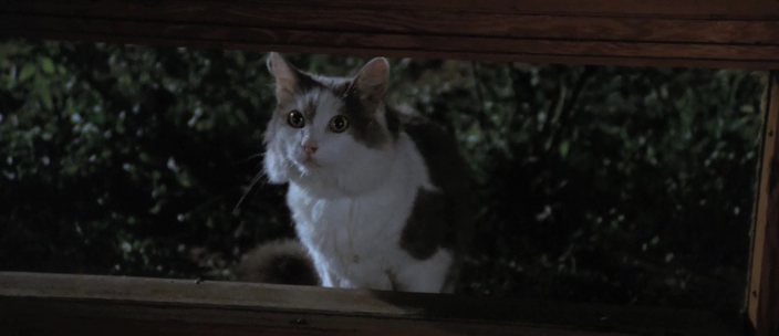 rheo_tu's tweet image. 4 mosche di velluto grigio (1971), dir. Dario Argento
#DarioArgento #giallo #movies