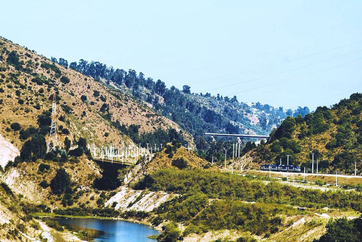 EFEValparaiso's tweet image. 🚆 Jueves sobre rieles, viaje seguro. Nuestro servicio funciona con normalidad para acercarte a tu destino.
👉 Escríbenos si necesitas apoyo o información sobre tu recorrido 💙