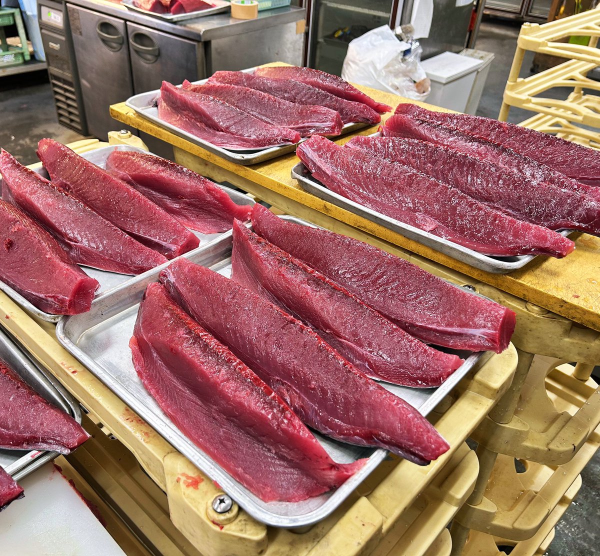 katuo2go's tweet image. 今日の鰹は5〜6キロ。