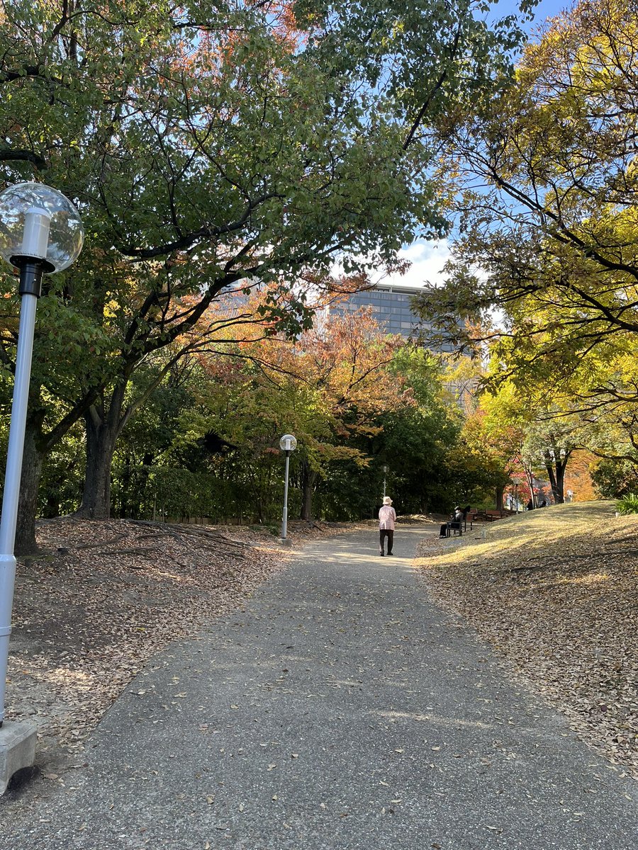 お昼休憩から戻りました。
紅葉🍁が綺麗な公園も散歩してリフレッシュしたのでこっからはいけるはず！
午後からも日和らずに爆裂投資の
トラブルver8.7で
逆転狙おうと思います！！

店内
ミスターはちょっと合算は下がりましたが全然いけそうですね！！
絶対衝撃もまだまだ全台打たれてます！！