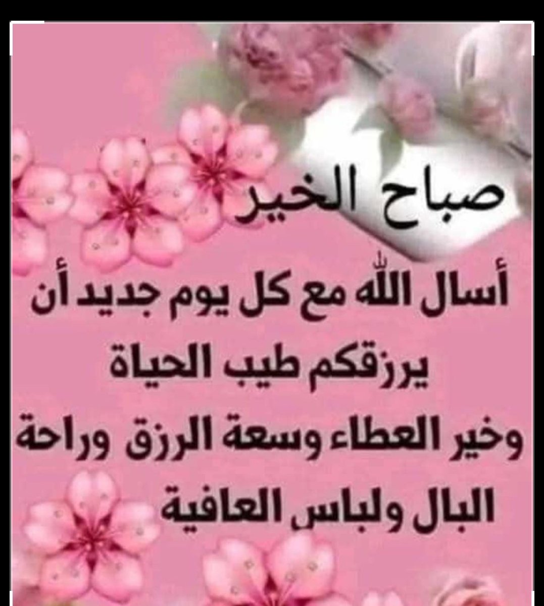 ثقتي بالله تكفيني. (الخاص ممنوع) (@ms14254381) on Twitter photo 