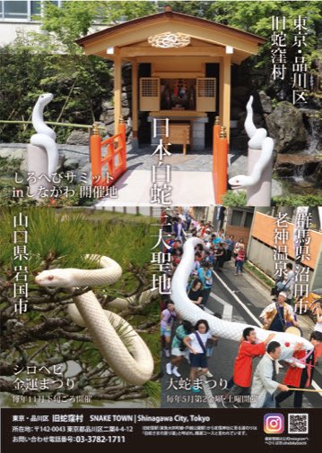 大蛇　白蛇　御神体 日本白蛇三大聖地】 山口県岩国市「天然記念物岩国の白蛇」・群馬県