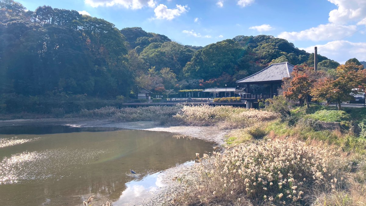 スケッチブックDVD2巻のジャケットの聖地？天拝山歴史自然公園(太宰府市)に来ました⛲️昔は沢山の猫が居たからきっとジャケットの様になっていたかも🐈お散歩日和で気持ちよかったです🚶