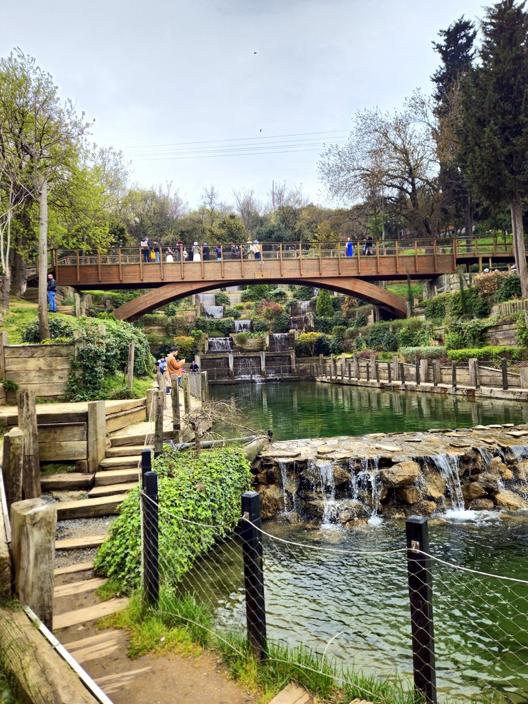 ebrunellanella's tweet image. 🌸Her bitiş,yeniden başlamak icin iyi bir bahanedir.🫡
#günaydın #Perşembe #İstanbul