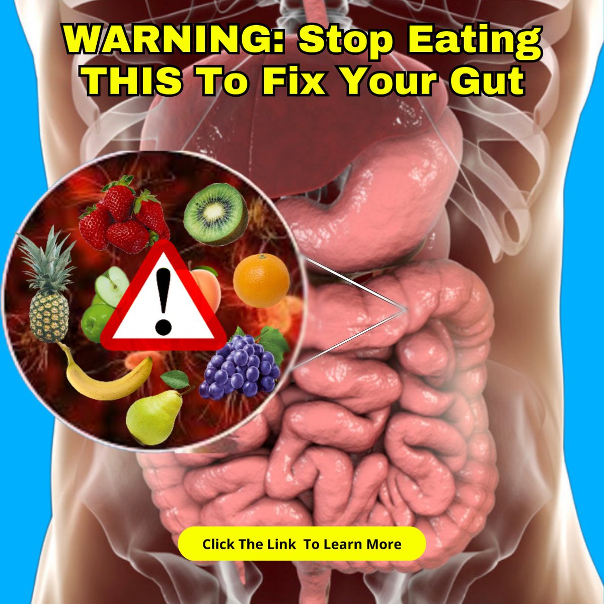 WinJose8's tweet image. #digestion #health #guthealth #lifestyle #weigthloss
#constipation #synogut #probiotics #Gutfeld #Diabetes
#digestivehealth #nutrition #gut #Healthy #life
Start your day with an 8-second bowel cleanse.
Click👇now for a journey to well-being!
👉 f.mtr.cool/ylvntbgbwl 👈