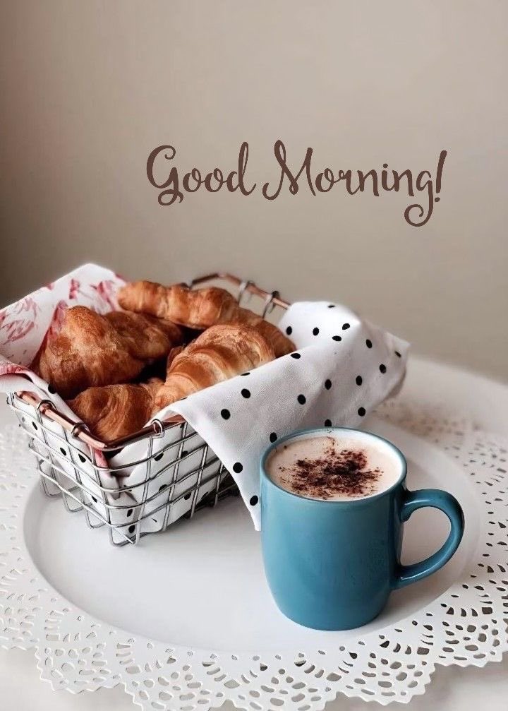 the_codewala's tweet image. Good Morning Fam!❤️

Happy Thursday ✨

I wish you all a wonderful day ahead🥰