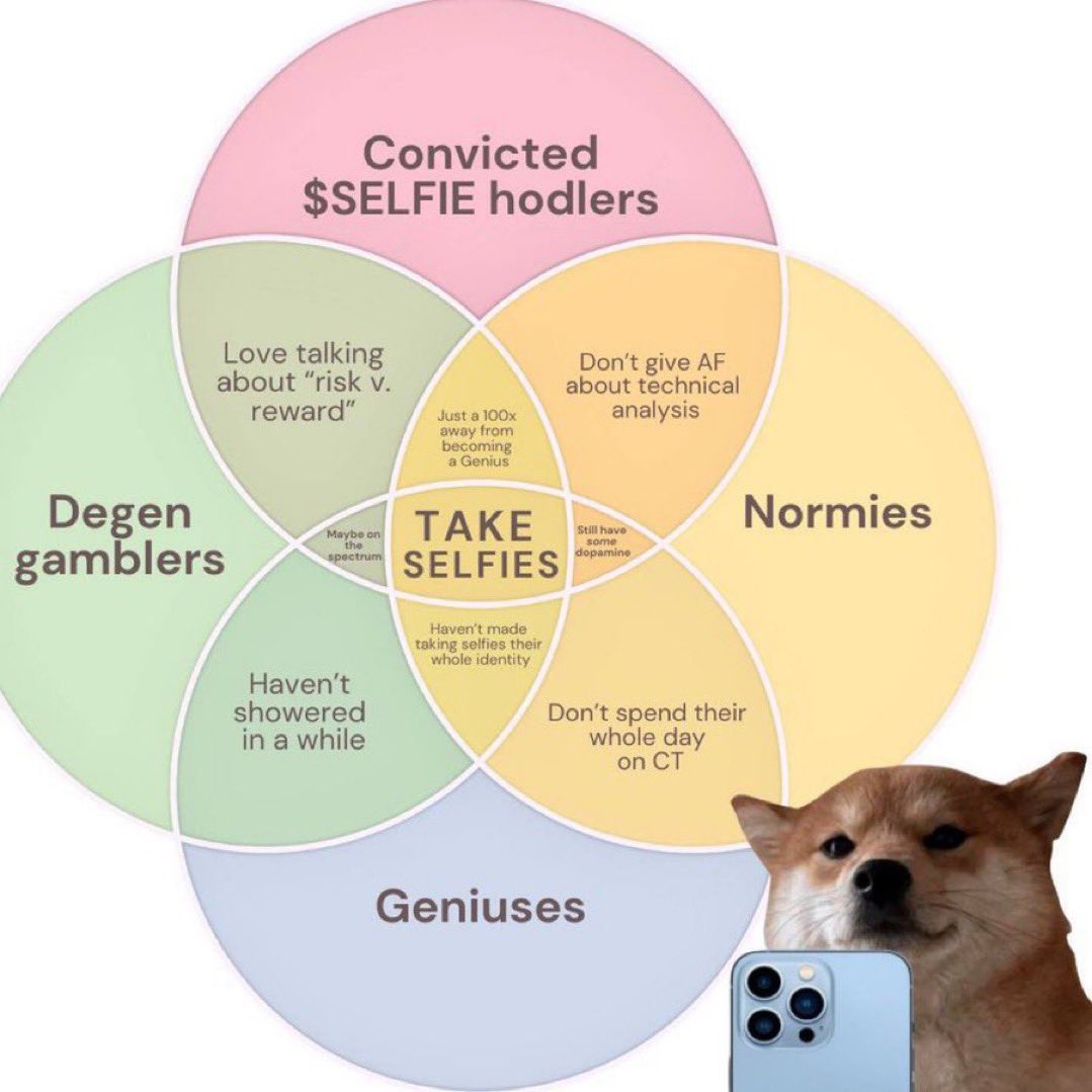 Drano92's tweet image. Our doggo won’t disappear - 

$selfie quietly catching bids - 

Been here before , not phased