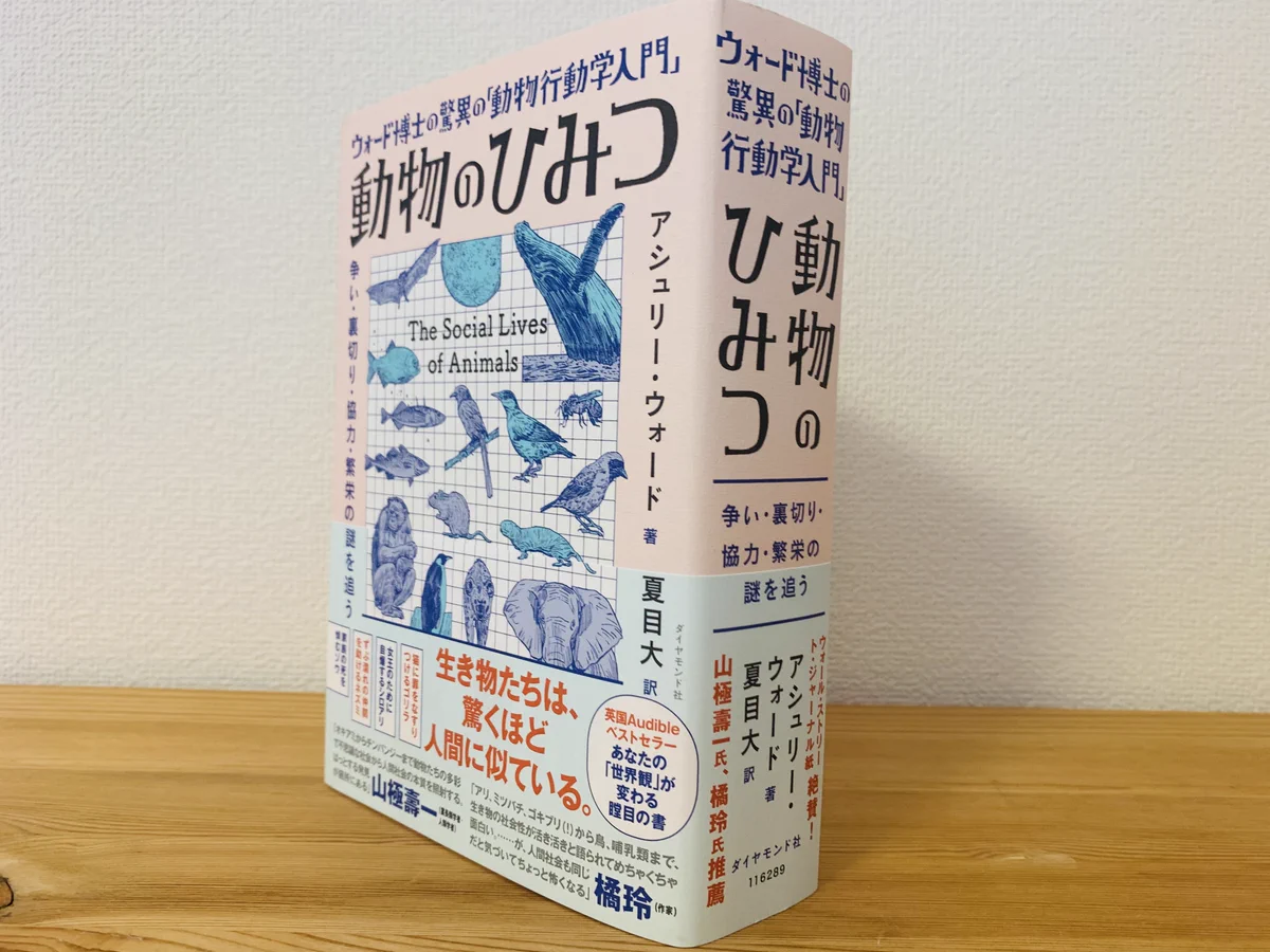 田畑博文（編集者） on X: 