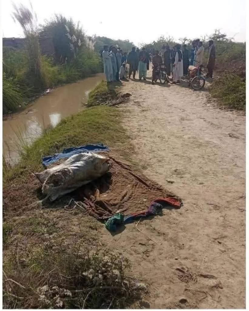 جھلوری میں ایک غریب امام مسجد کی 10 سالہ بیٹی آمنہ اسکول جاتے ہوئے اغوا ہوئی۔

باپ تھانے کے چکر کاٹتا رہا، مگر پولیس نے انگلی تک نہ ہلائی۔

پانچ دن تک پولیس خاموش تماشائی ہی نہیں، بلکہ سہولت کار 

بنی رہی—چھوٹا سا محلہ، چند گھر، سب ایک دوسرے سے 

واقف… پھر بھی مجرم آزاد پھرتا