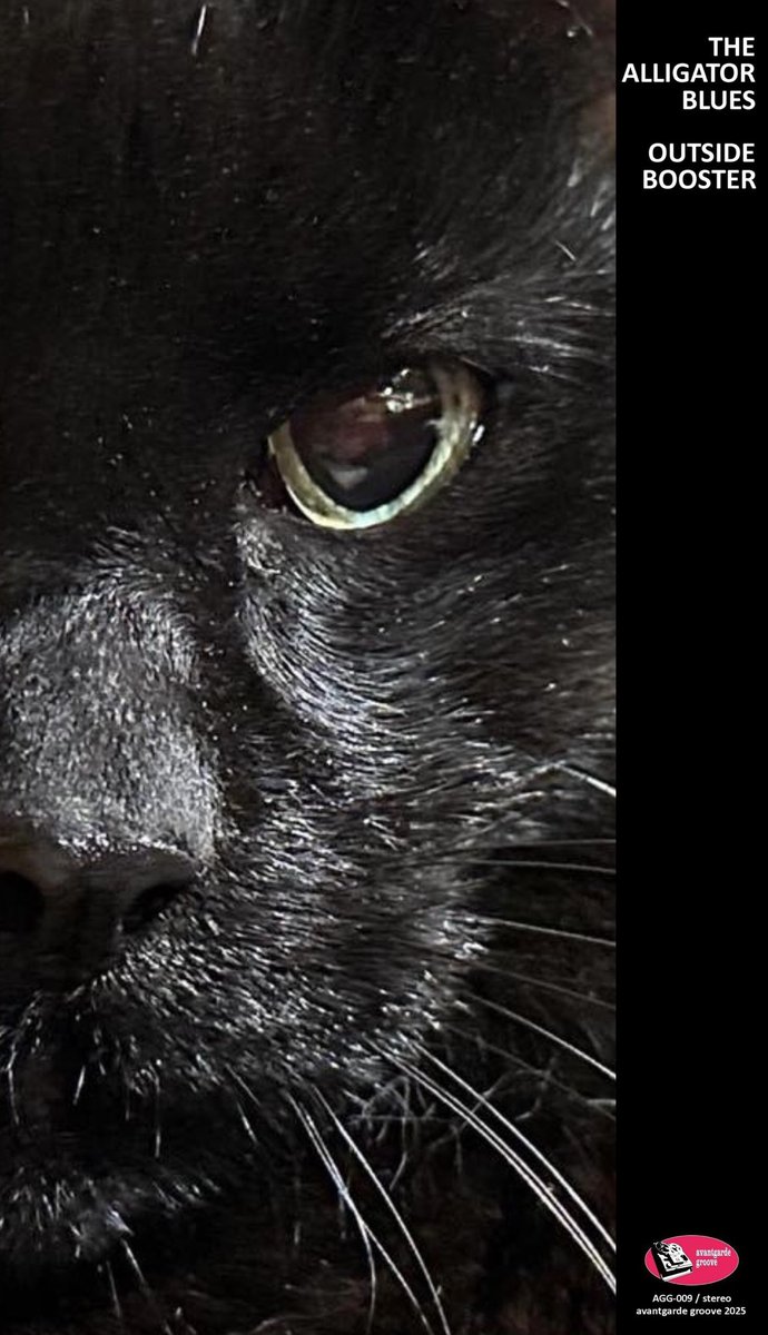 【本日ワニレコ発】

◾️11/20木 新宿紅布◾️
New Album『OUTSIDE BOOSTER』Drop Out GIG

“Snipe Night Booster”

VIOLETS
Magical Sixx
THE ALLIGATOR BLUES

18:30/19:00
¥3000/¥3500

センパイにケツを叩いていただき
もーれつに
ワニるのみ！！！